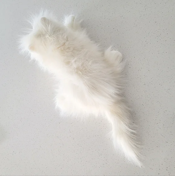 Dakin Lou Rankin FRIENDS White Plush Cat Toy, Long Haired - Picture 9 of 10